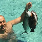 Duran アドラサン