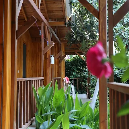 Duran 게스트하우스 아드라산